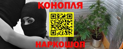 стаф Кунгур