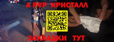 стаф Кунгур