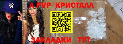 стаф Кунгур