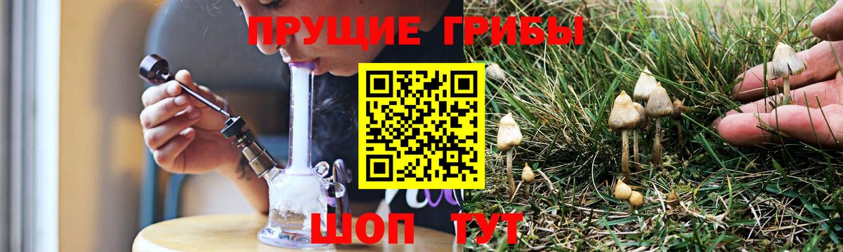 Псилоцибиновые грибы прущие грибы  Вход с VPN  Иваново  Псилоцибиновые грибы GOLDEN TEACHER 